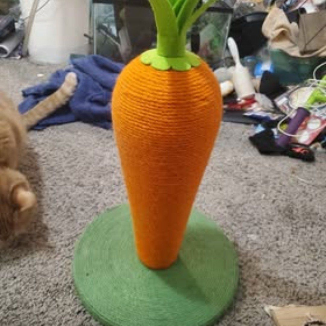 cat scratcher toy