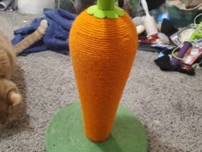 cat scratcher toy