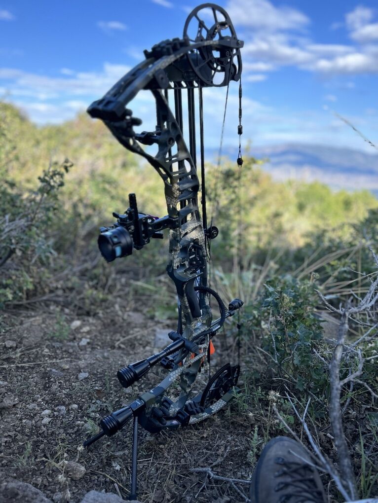 Hoyt Vtm 31