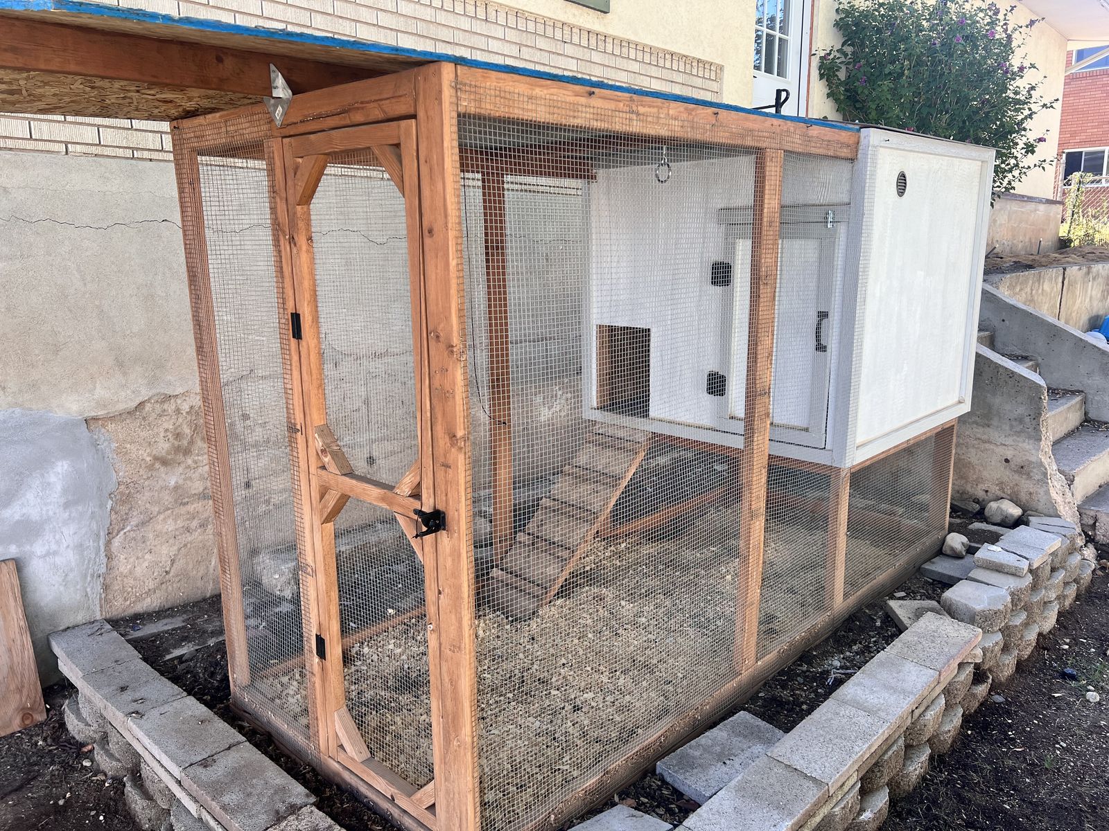 Large chicken coop 