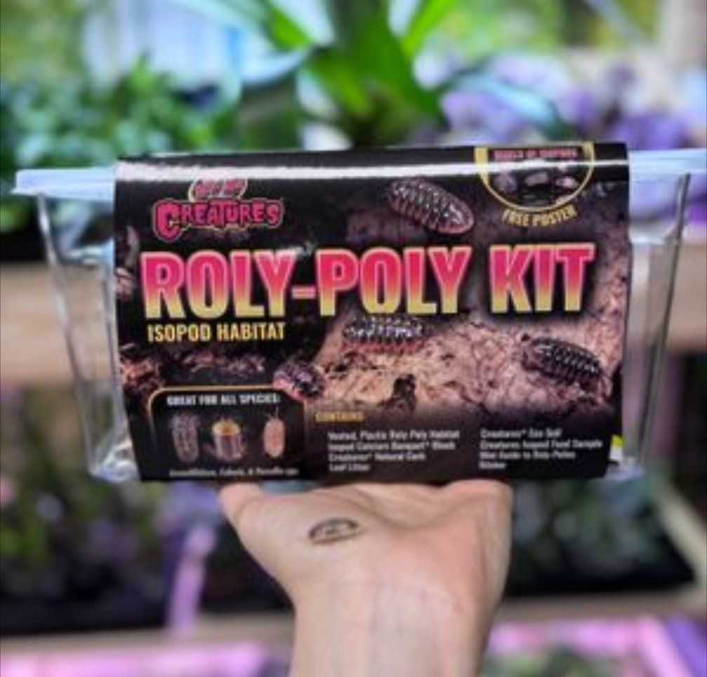 Bio Active starter kits, bugs and all!
