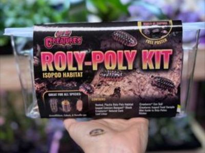 Bio Active starter kits, bugs and all!
