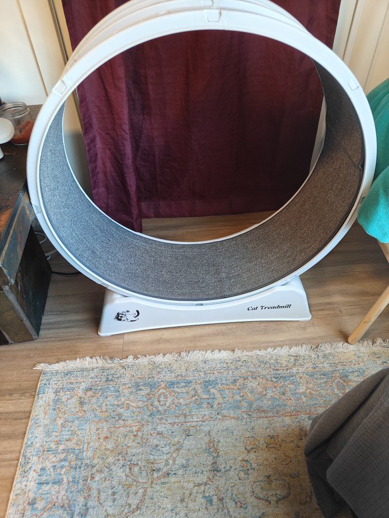 White Cat Treadmill Exercise Wheel for Indoor Cats, Large Size