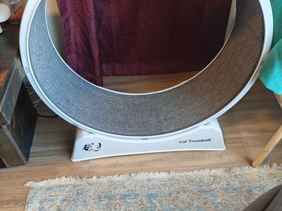 White Cat Treadmill Exercise Wheel for Indoor Cats, Large Size