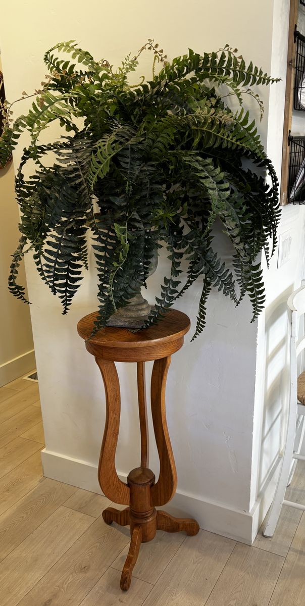 Beautiful Plant Stand
