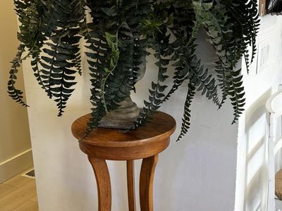 Beautiful Plant Stand