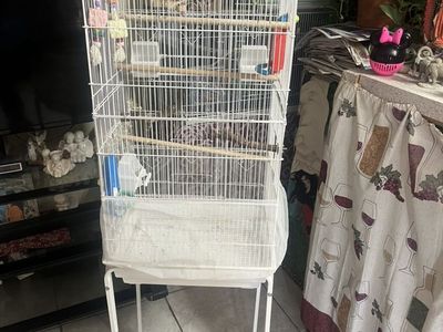 Bird Cage