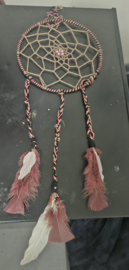 Handmade Dream Catcher with Pink & Black Braided Detail & Feathers