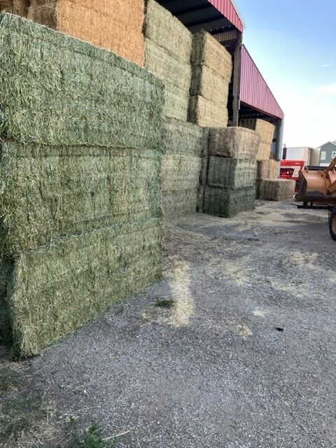 Second Crop Alfalfa Hay