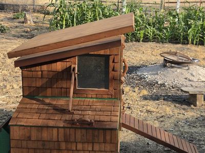 red wood chicken coop