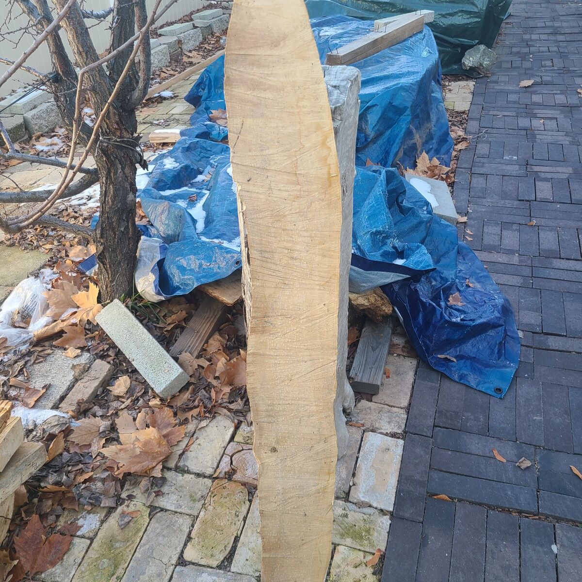 (#2) Elm Wood Slab-$5