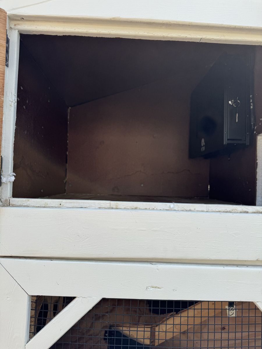 Main image 4