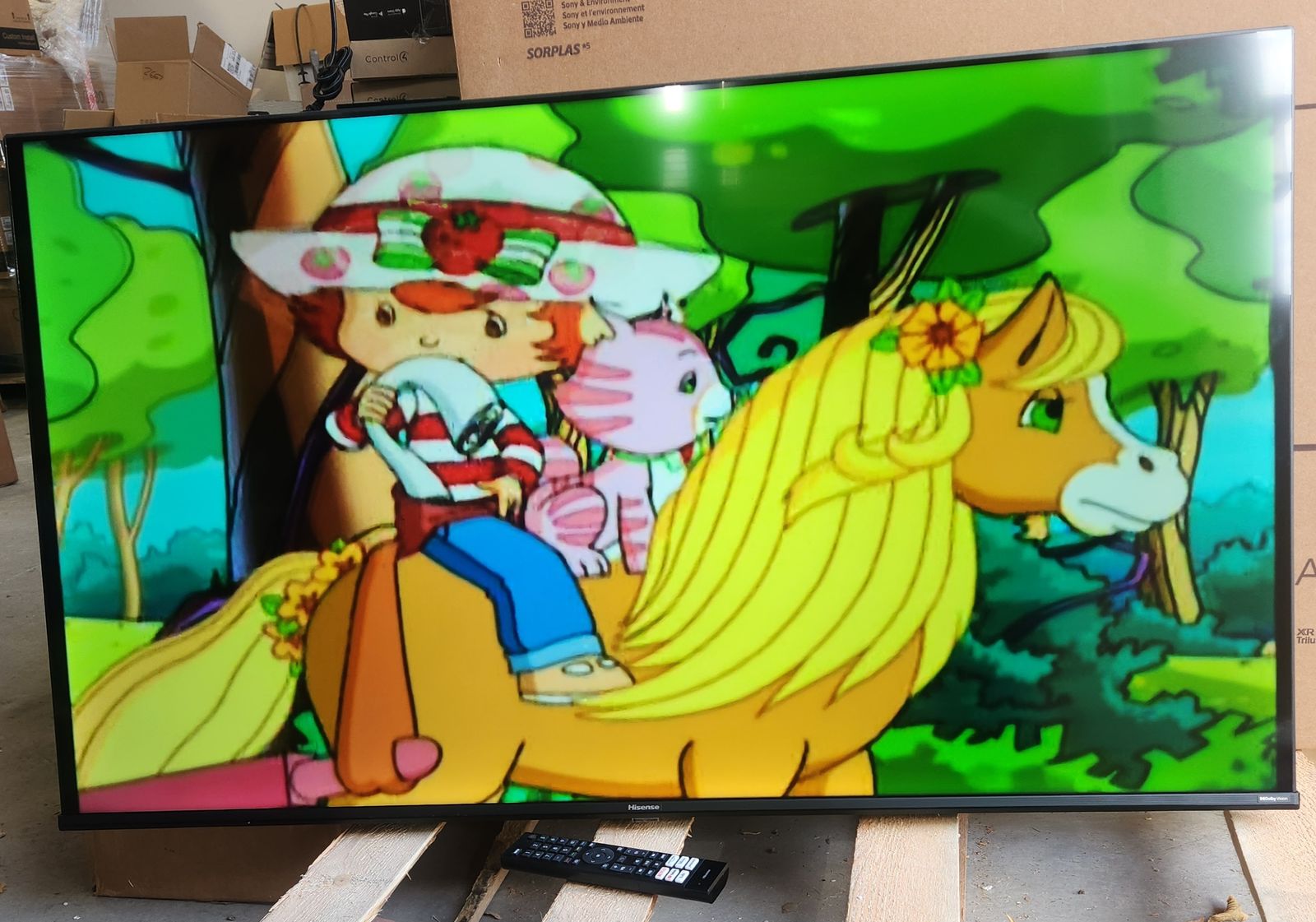 Hisense LED LCD TV Model #50A6G with Remote