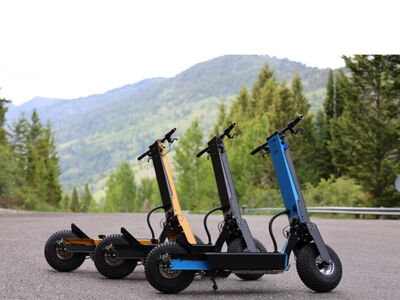 Works Electric Hollyburn GS — Custom Edition — Like New — Only 5 Hours (4 Available)