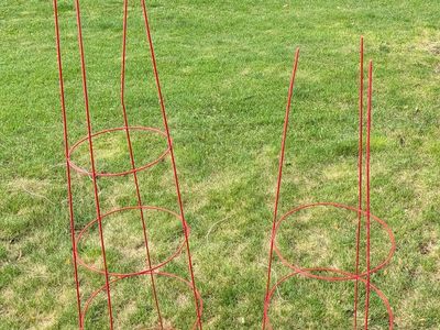 Tomato Cages