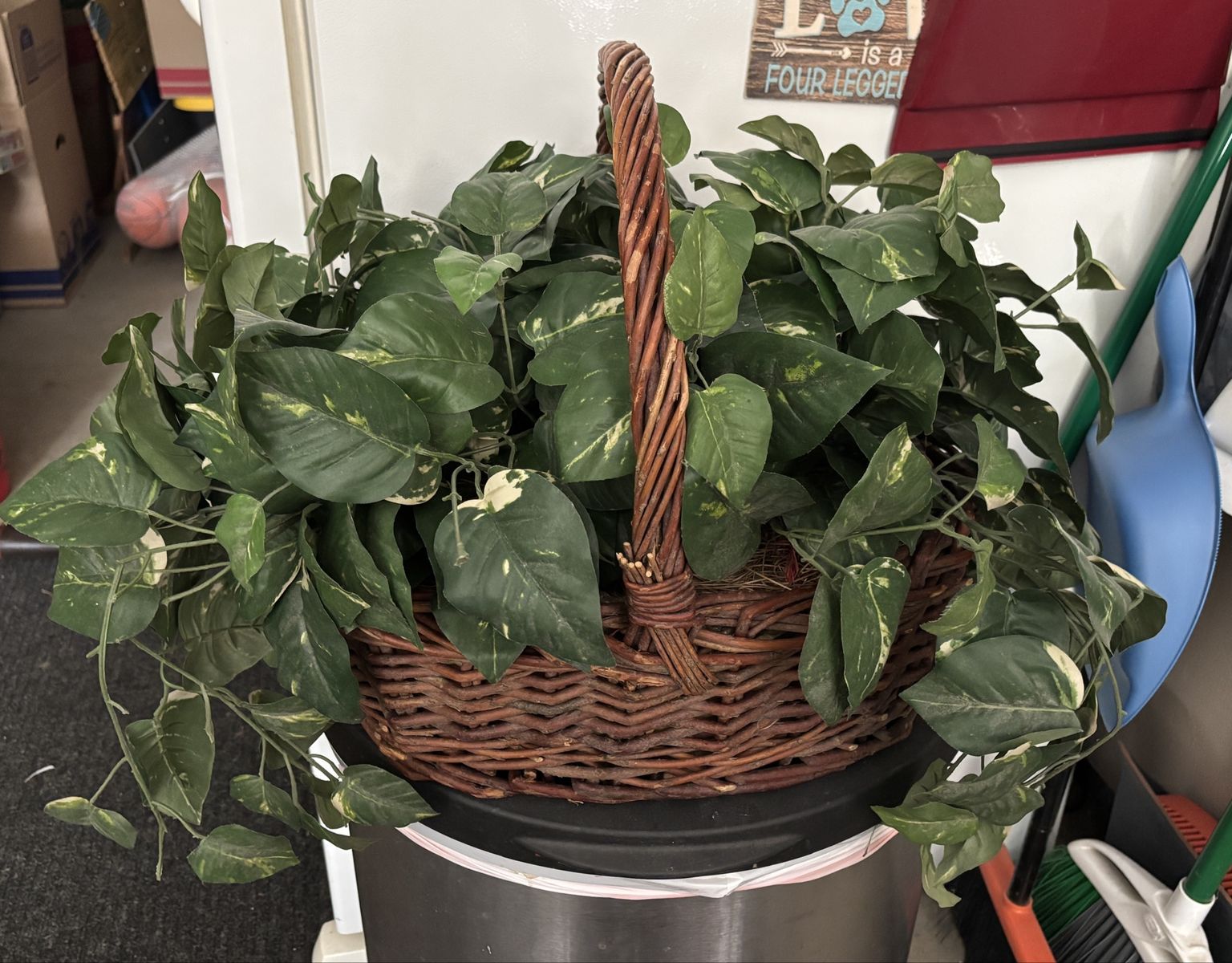 Faux Pothos Plant in Woven Wicker Basket with Carrying Handle
