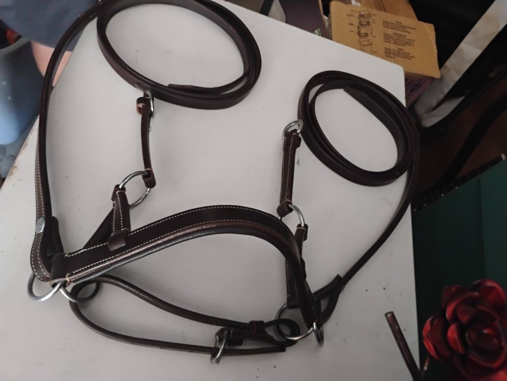 Used Leather Horse Bridle & Girth Strap with Reins - Dark Brown Equestrian Gear