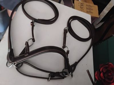 Used Leather Horse Bridle & Girth Strap with Reins - Dark Brown Equestrian Gear
