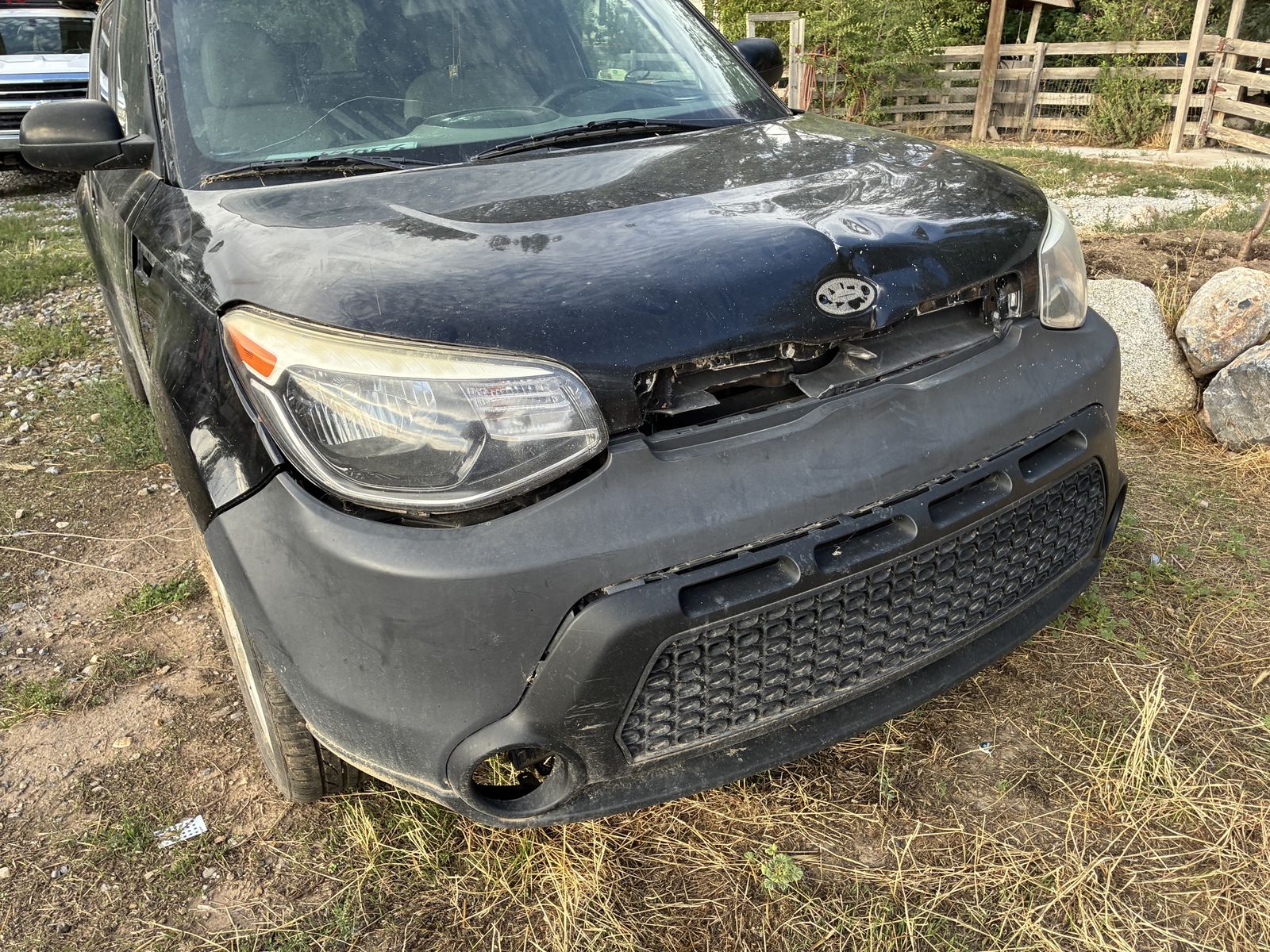 Black Kia Soul