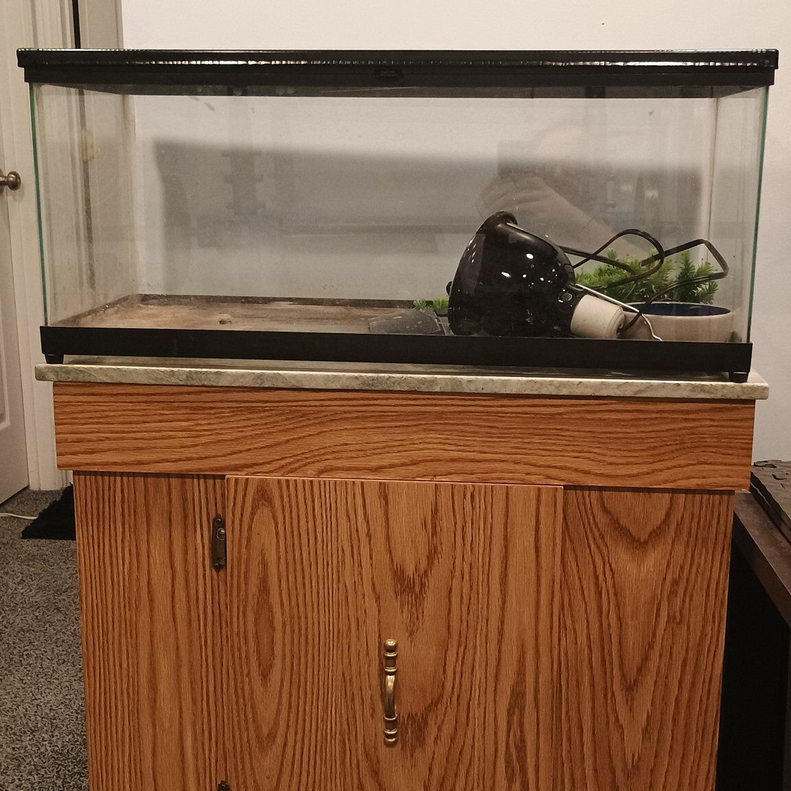 20 Gallon Tank and Stand