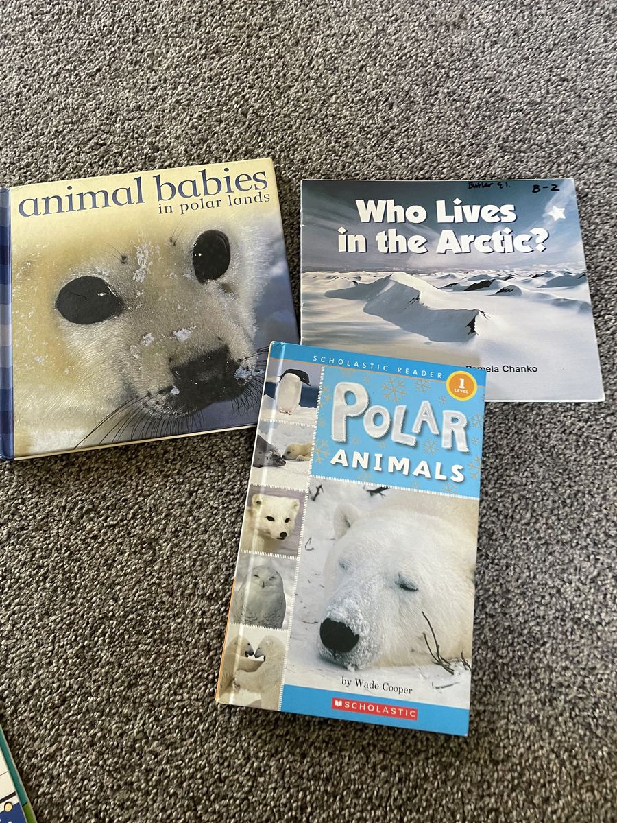Artic themed books
