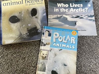 Artic themed books