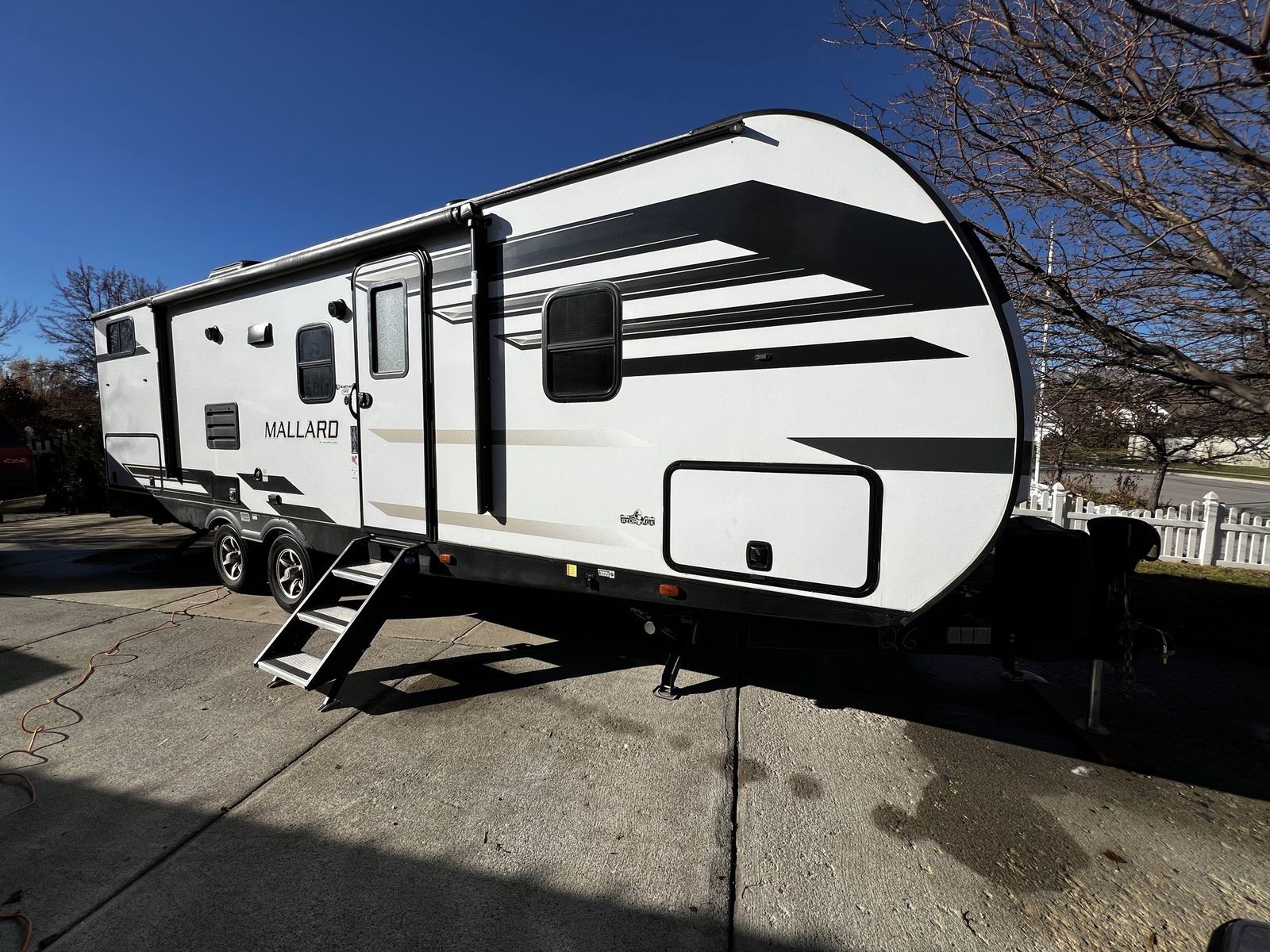 *Camp Ready* Mallard IDM26