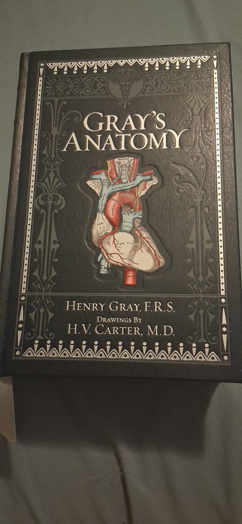 Gray's Anatomy 15th Edition Barnes & Noble Hardcover Henry Gray, F.R.S. H.V. Carter, M.D.