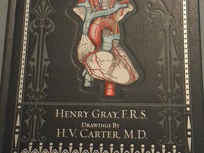 Gray's Anatomy 15th Edition Barnes & Noble Hardcover Henry Gray, F.R.S. H.V. Carter, M.D.