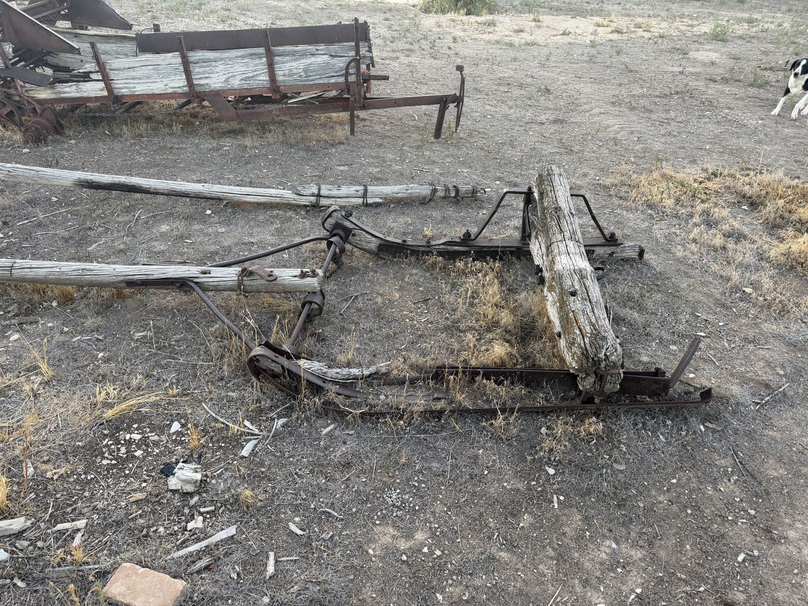 Main image 5