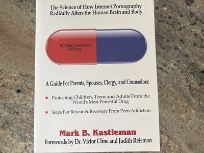 The Drug of the New Millennium by Mark B. Kastleman - Internet Pornography Guide for Parents