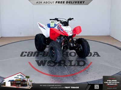 2026 Honda TRX250X