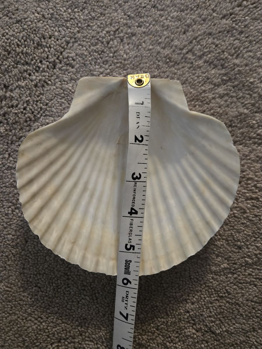 Main image 5