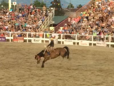 Lehi rodeo ticket 6/25