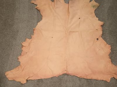 Mule deer hide tanned large size