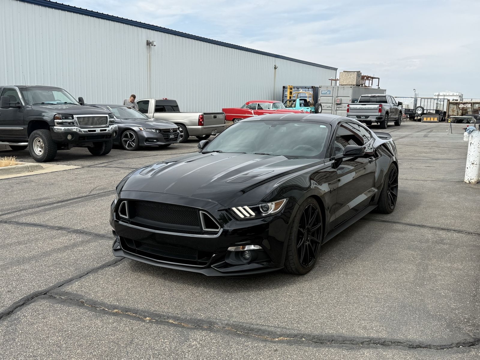 2016 Ford Mustang GT 50 Years Limited Edition