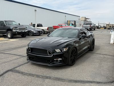 2016 Ford Mustang GT 50 Years Limited Edition