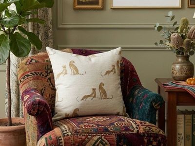 *New* D.V. Kap Throw Pillows