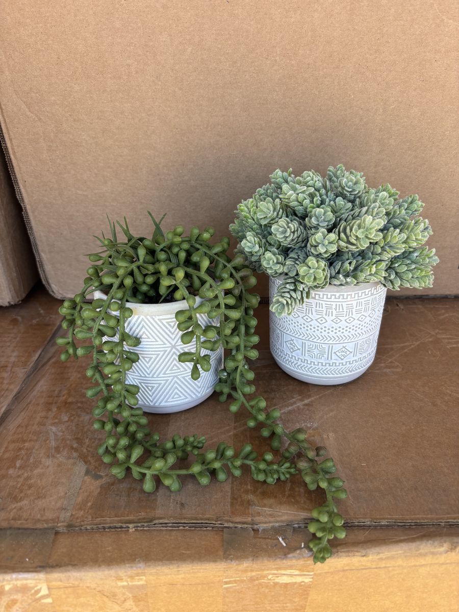 Set of 2 Faux Succulent Plants