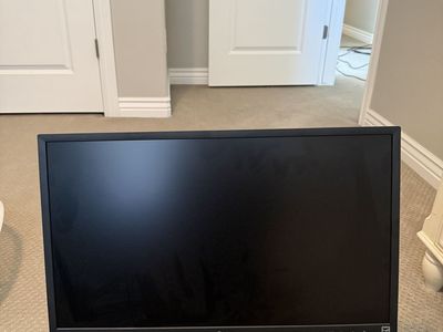 LG Monitor 21 x 24