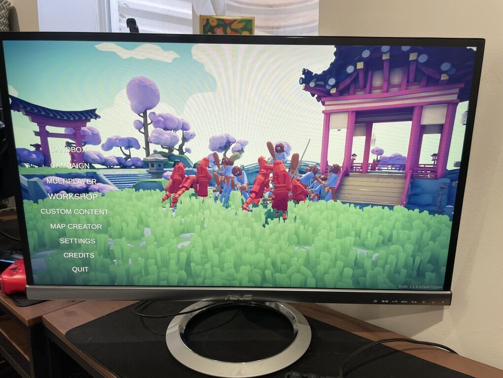 27 inch Monitors IPS (Asus MX279)