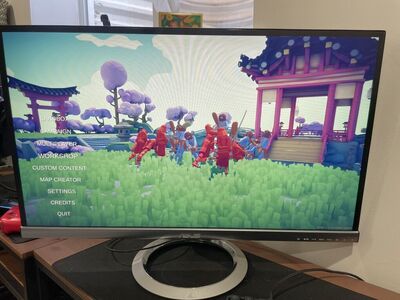 27 inch Monitors IPS (Asus MX279)