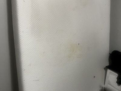 Queen sized mattress and box spring
