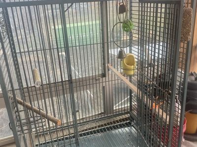 Large Bird Cage