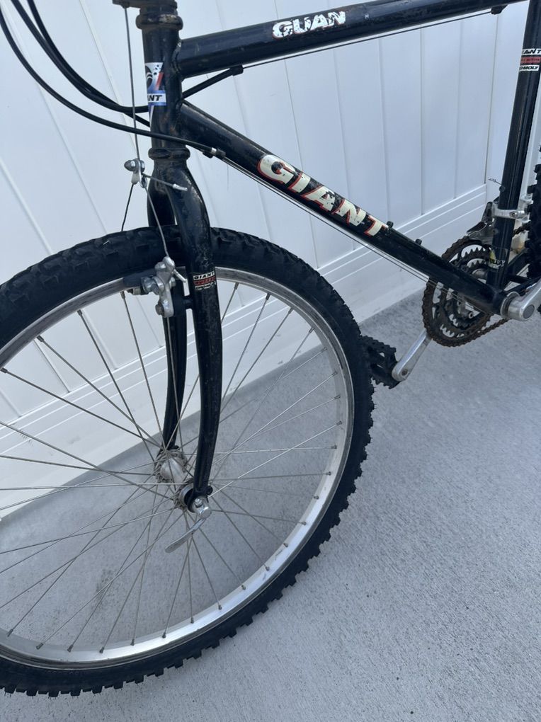 Giant Bicycle 26 Inch