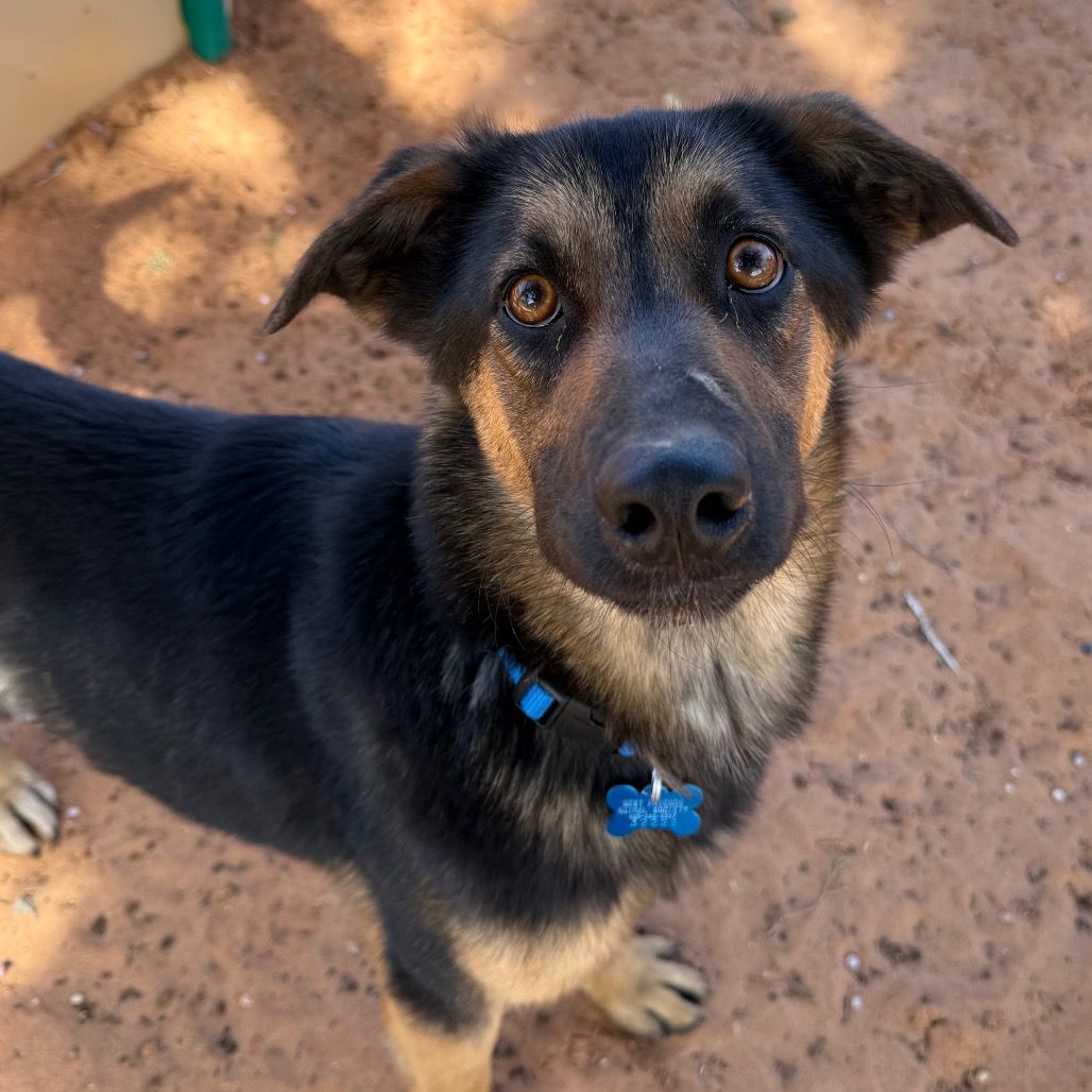 Hello my name is Agatha