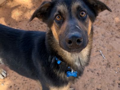 Hello my name is Agatha