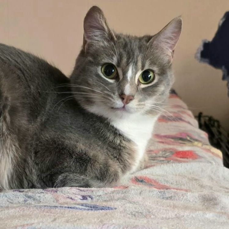 Hello my name is Bird