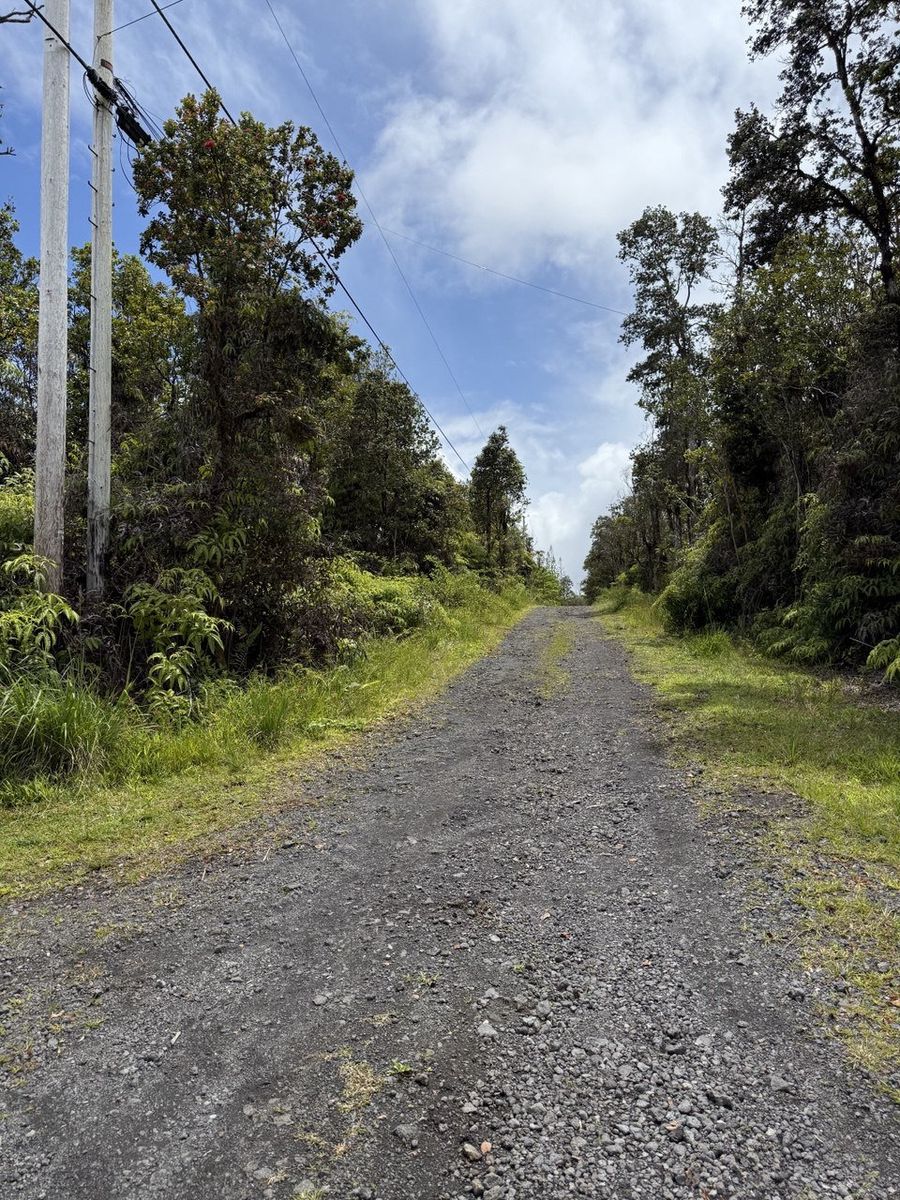 Main image 6
