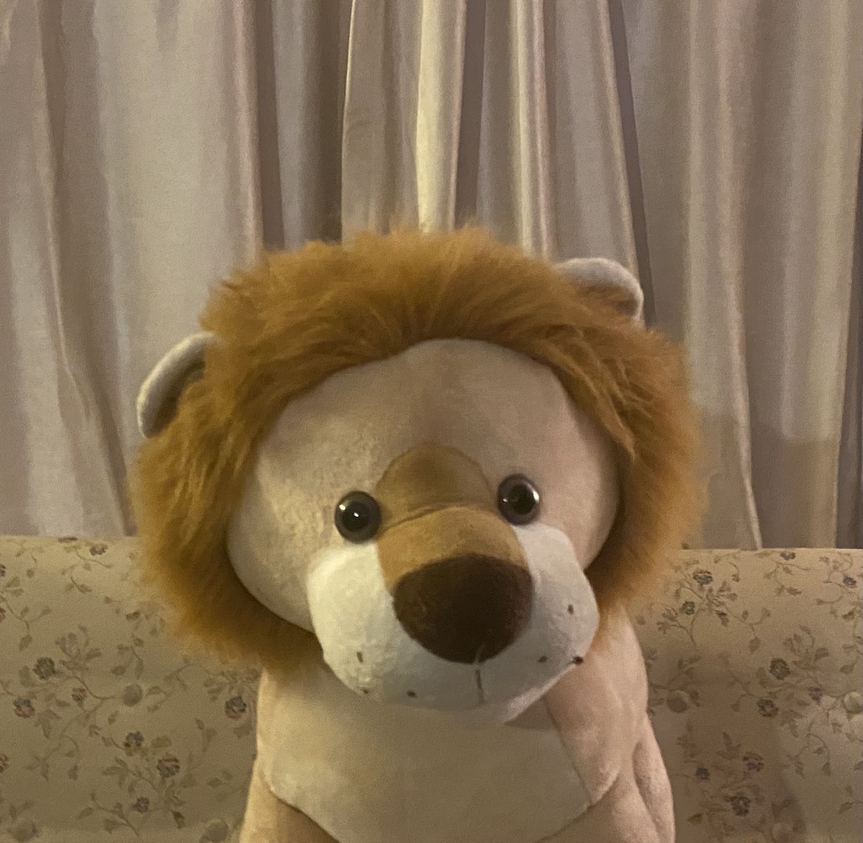 Lion, circus, safari, zoo, nursery, preschool,